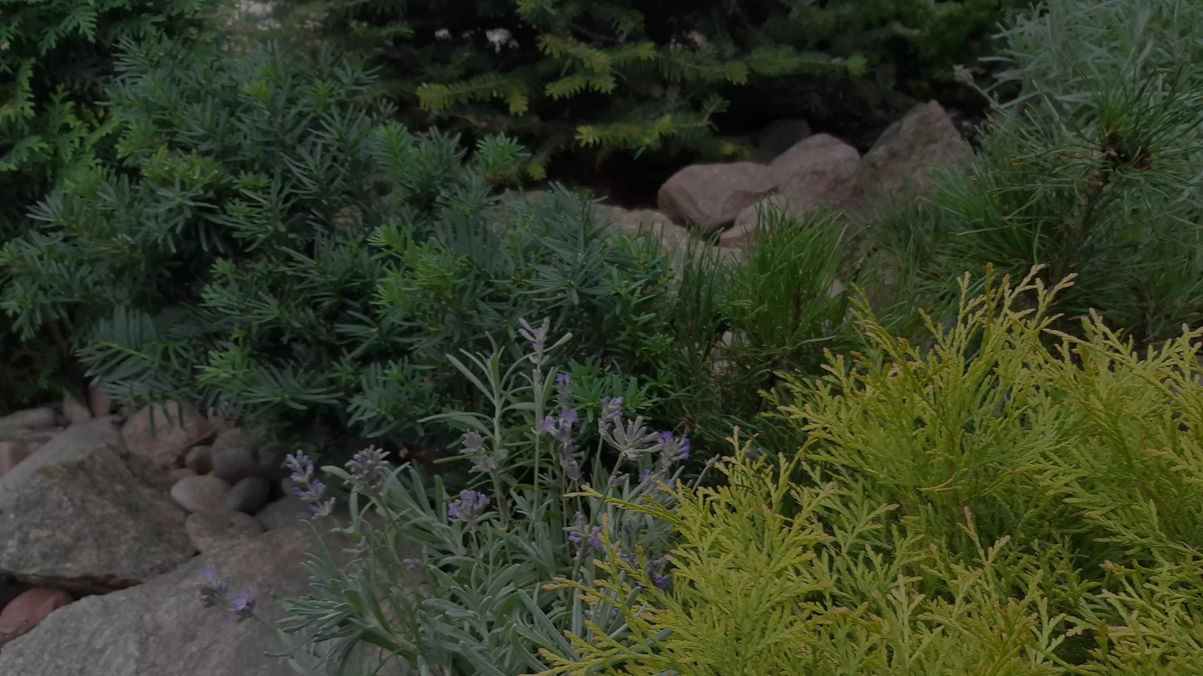 Alpinariumų bei šlaitų įrengimas